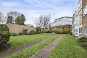 Communal Garden- click for photo gallery